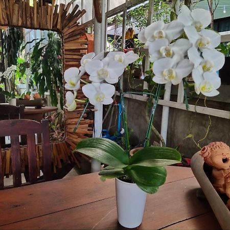 Aunt & Uncle'S House Bed & Breakfast Chiang Mai Exterior photo